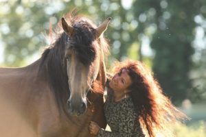 Horsemanship Through Leadership