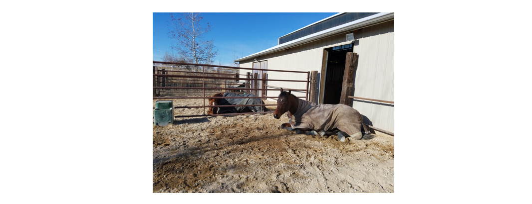 February 2018