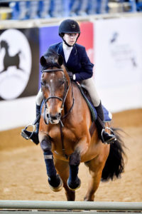 IEA