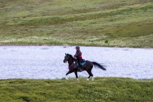 Endurance Riding
