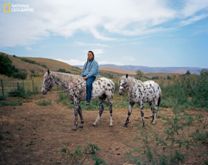 The Horse in Native American History