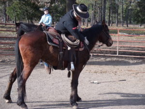 The first ride is a very exciting and scary moment in training a mustang.