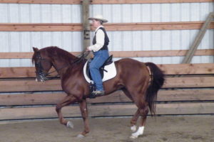 The Balanced Horseman Part One: Seeking Balance