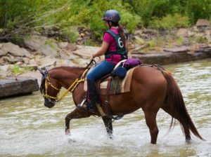 competitive trail riding
