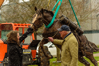 Kentucky Horse Park