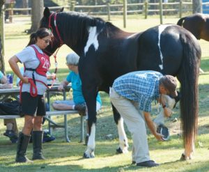 competitive trail riding