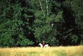 Free Workshop Sound Horsekeeping; Equine Farm Planning