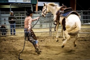 Northwest Horse Fair and Expo 2019