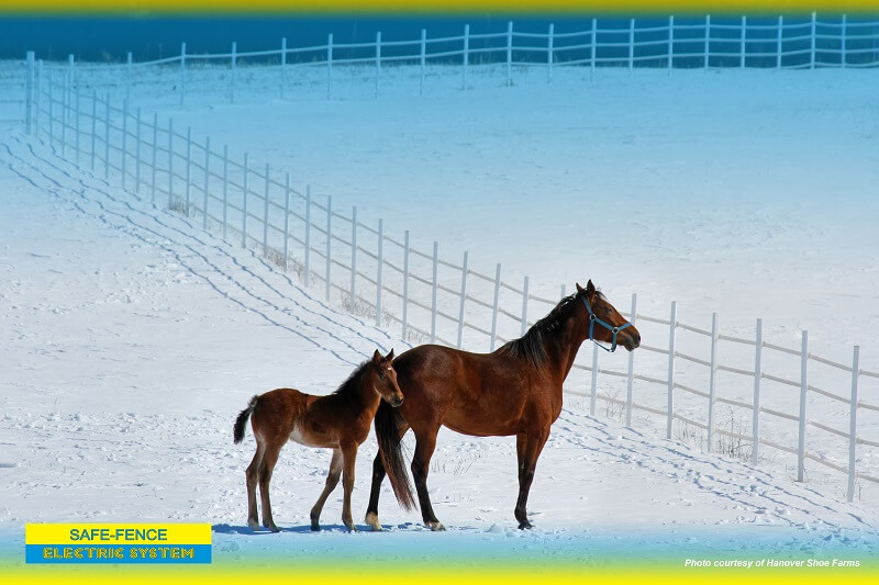 Safe-Fence
