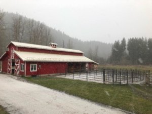 Wild Horses Help Shape Spiritual Growth