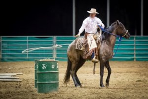 The Northwest Horse Fair and Expo will celebrate its Twentieth Anniversary