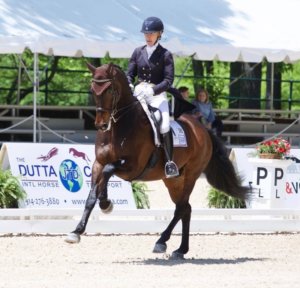 The Northwest Horse Fair and Expo will celebrate its Twentieth Anniversary