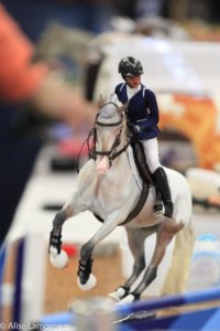 The Northwest Horse Fair and Expo will celebrate its Twentieth Anniversary