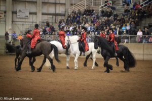 The Northwest Horse Fair and Expo will celebrate its Twentieth Anniversary