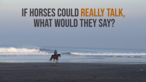Listening to the Horse