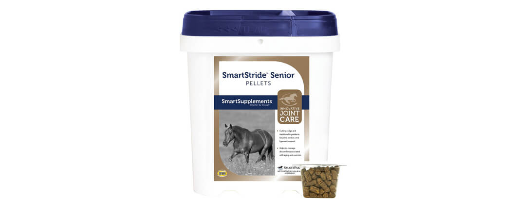SmartStride