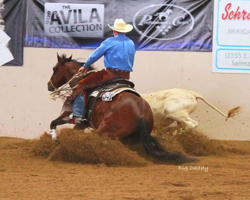 Idaho Horse Expo