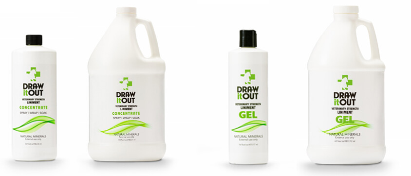 DiO Introduces All-Natural Horse Liniment To Relieve Swelling And Soreness