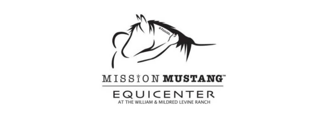 National Pilot Program Connects Wild Mustangs and Veterans