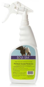 Why We Believe In Natural Horse Care At Equi-Spa