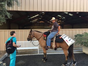 Horse on Cross Country Trek Stops at UC Davis for Care