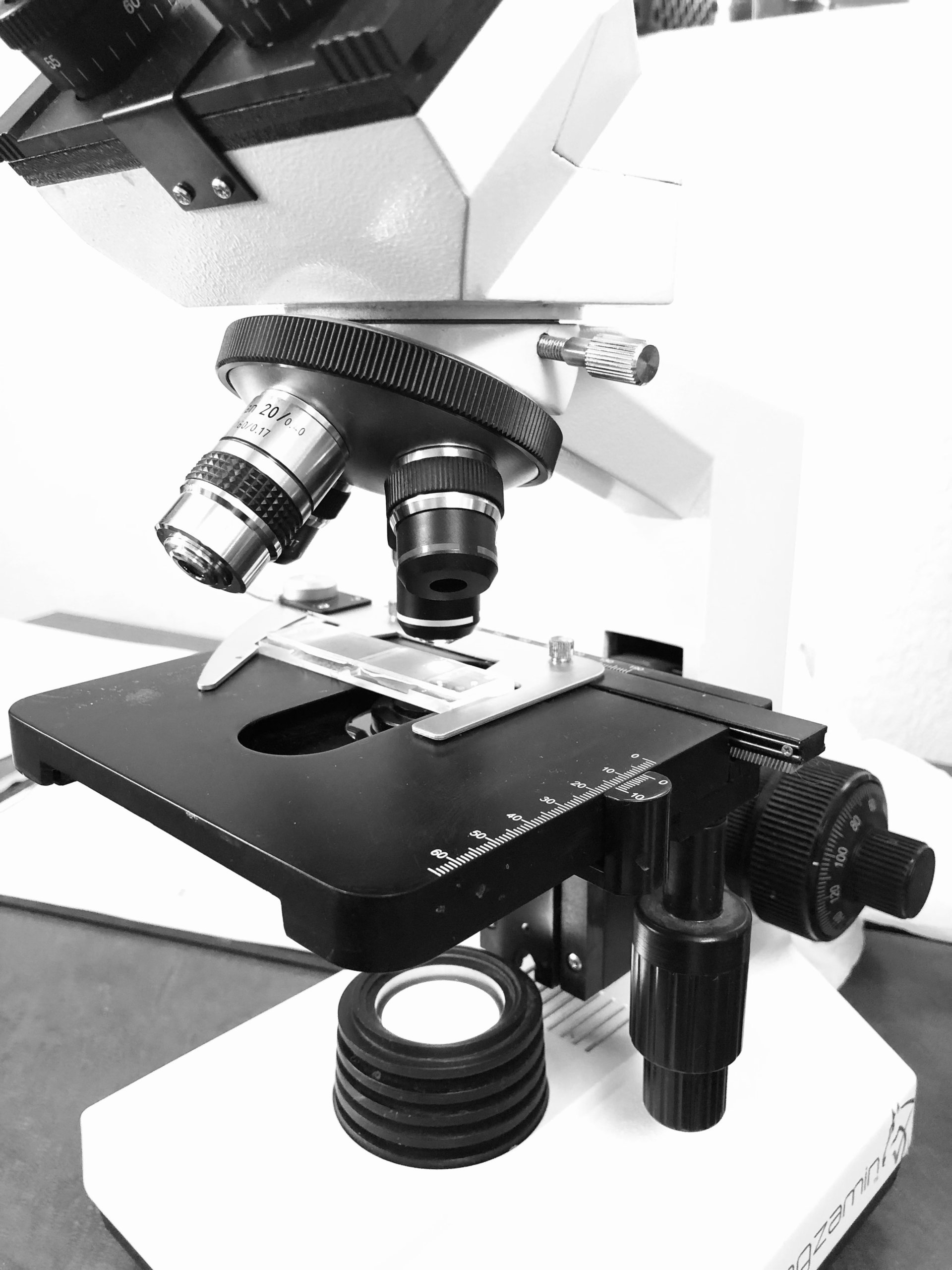 Colorado BLM Horse Deaths UPDATE Veterinary Services Outbreak