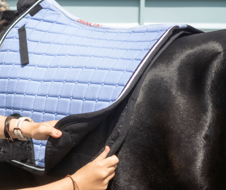Iconic Equestrian Saddle Pad Features Removable Inner LinerColorado