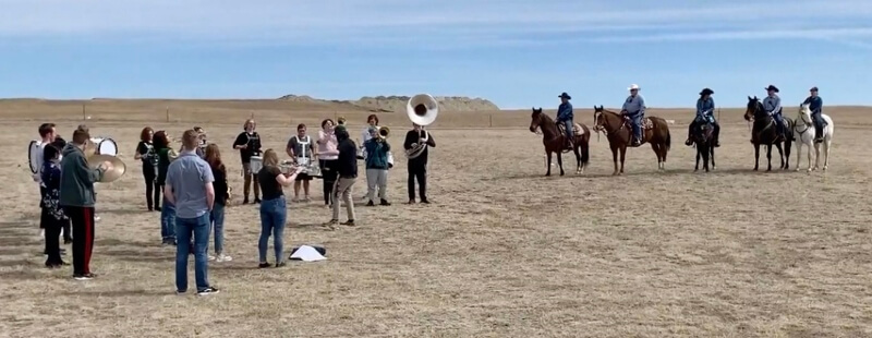 Horse Jobs: A Look at the Horses of the El Paso County Mounted Patrol ...