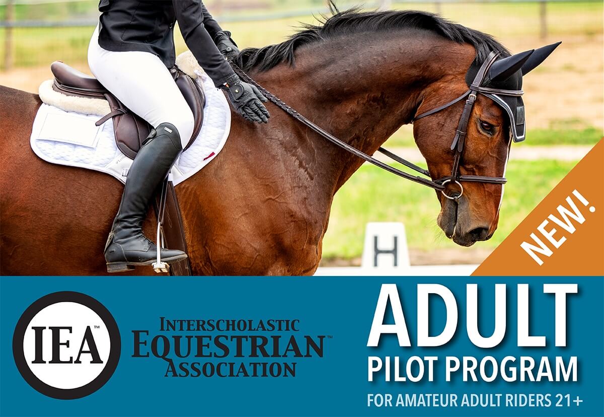 IEA ADULT Pilot Program