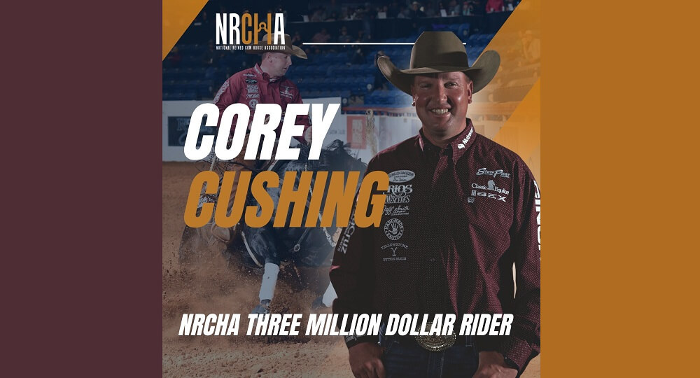 Three Million Dollar Rider