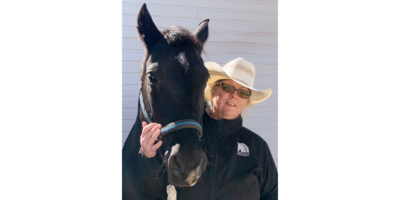 New Horse