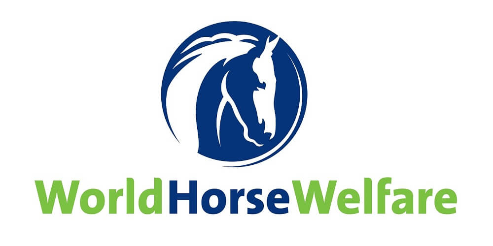 World Horse Welfare