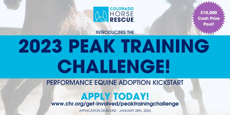 Training Challenge