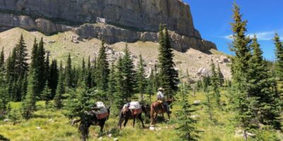 Back Country Packing