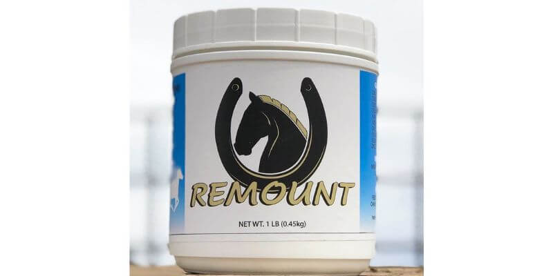 REMOUNT