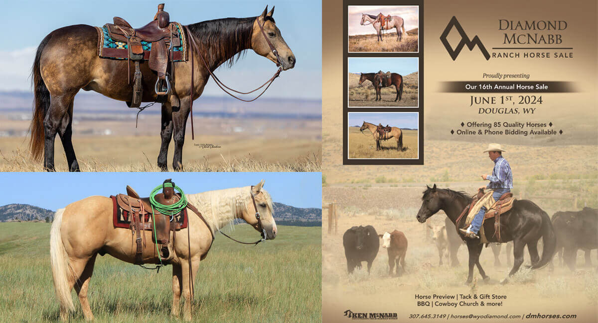 Diamond-McNabb Ranch Horse Sale