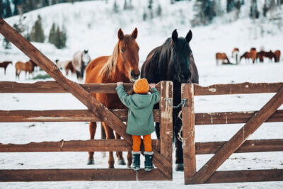 year-round dude ranch