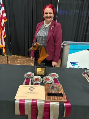 horse judging