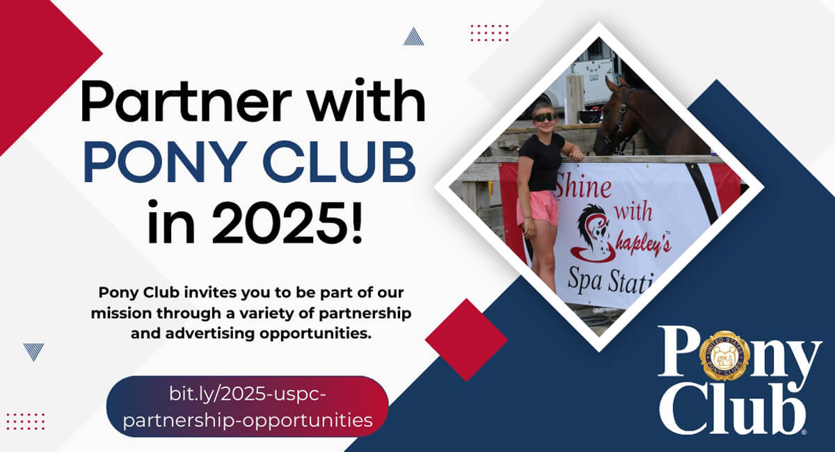 partnership opportunities