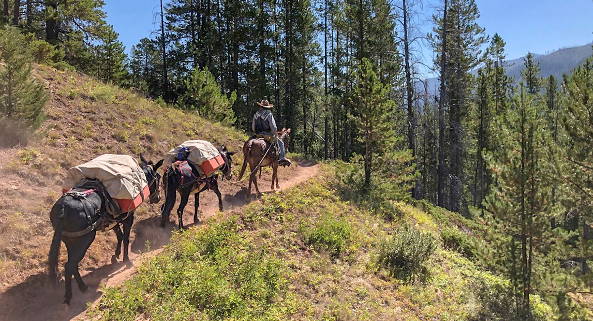 trail riding