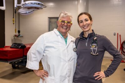 Mizzou veterinarians
