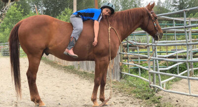 Non-Pro Bridle