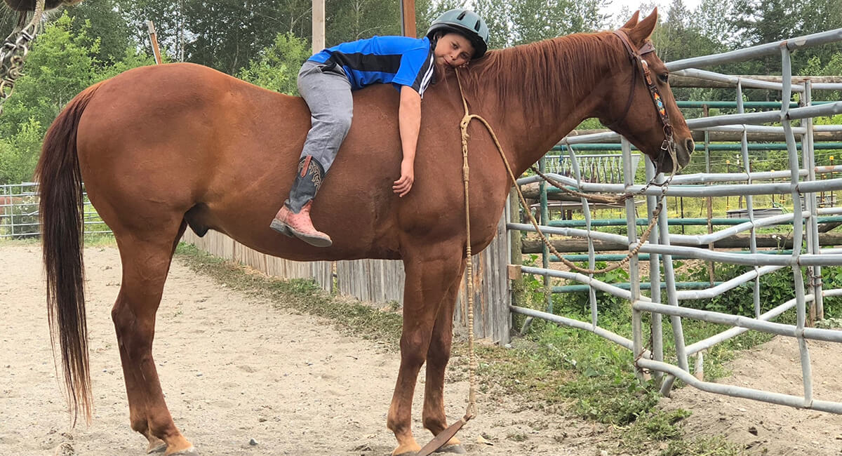 Non-Pro Bridle
