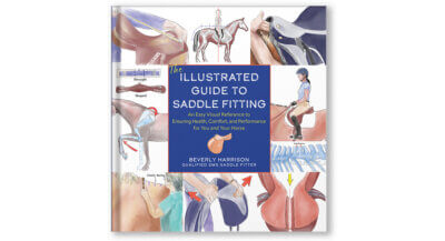 saddle fitting