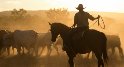 Purina Animal Nutrition