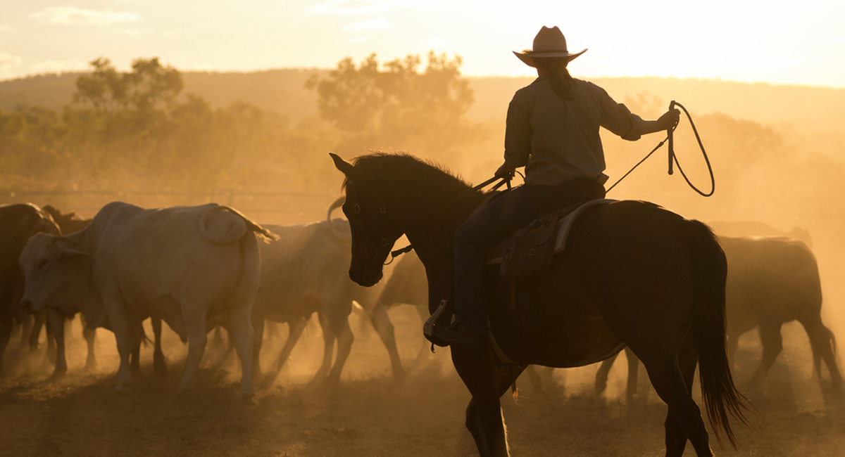 Purina Animal Nutrition