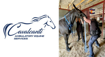 Cavalcanti Ambulatory Equine Services