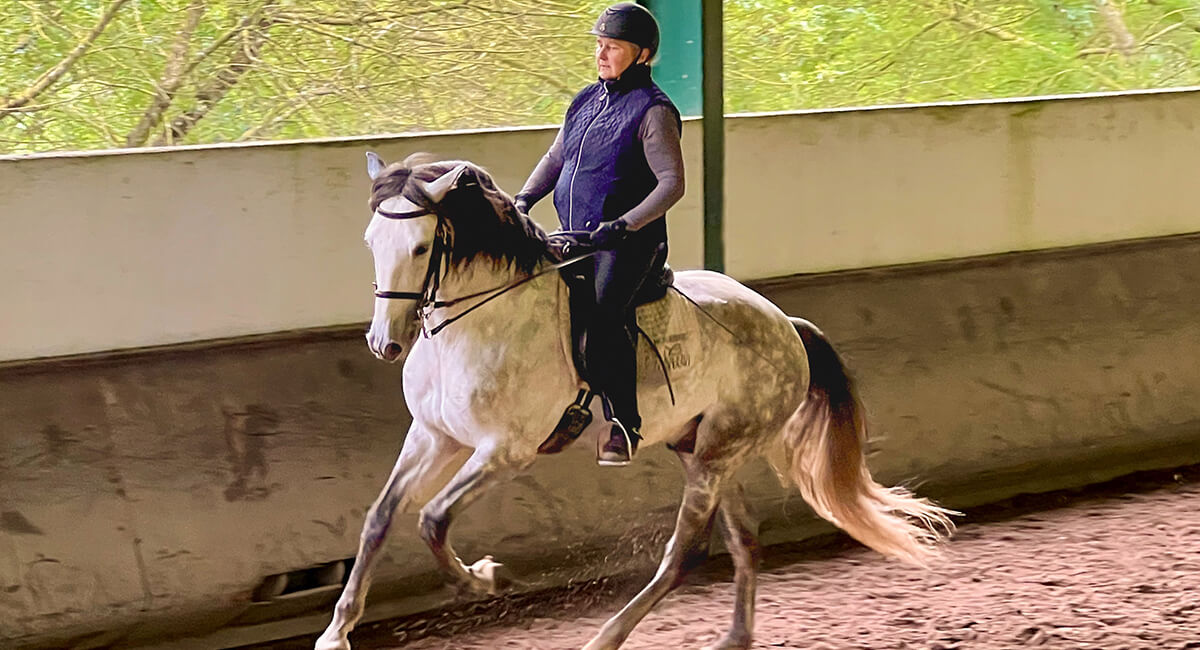 Lusitanos