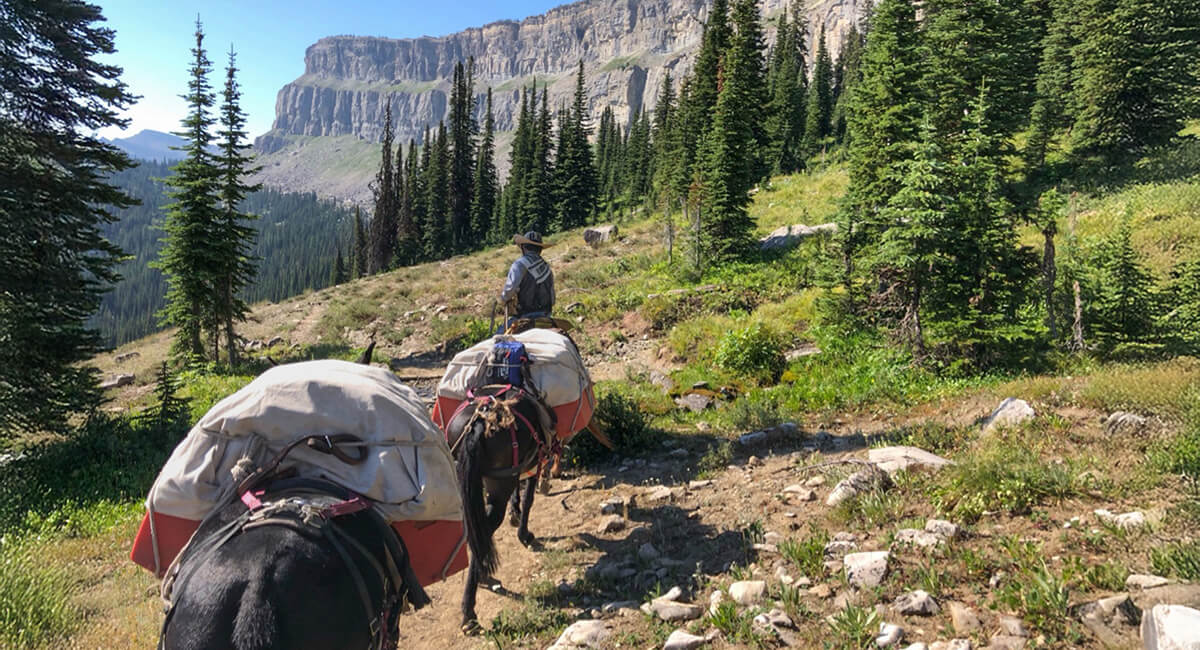 wilderness pack trips