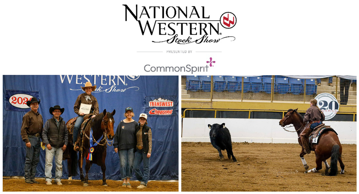 Youth Ranch Horse Mentor Matchup